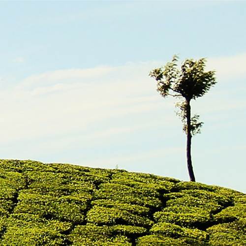 Environmental responsibility